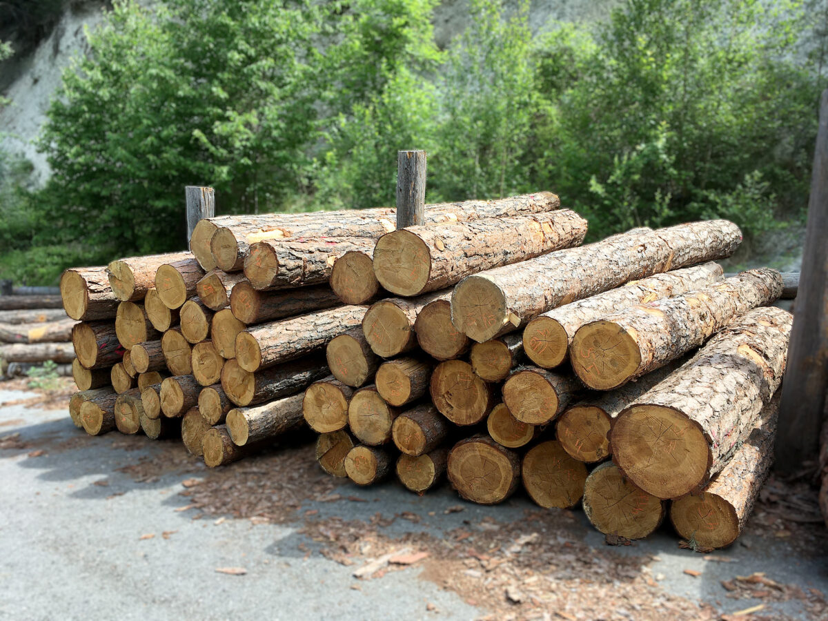Nadelholz Brennholz – Bild 2