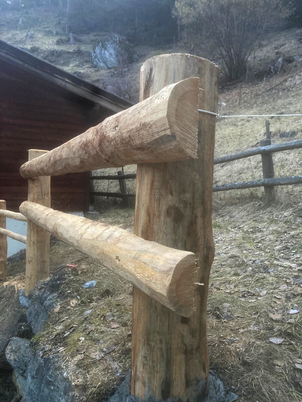 Halblatten ohne Rinde